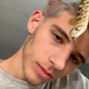 Meet your Posher, Louis